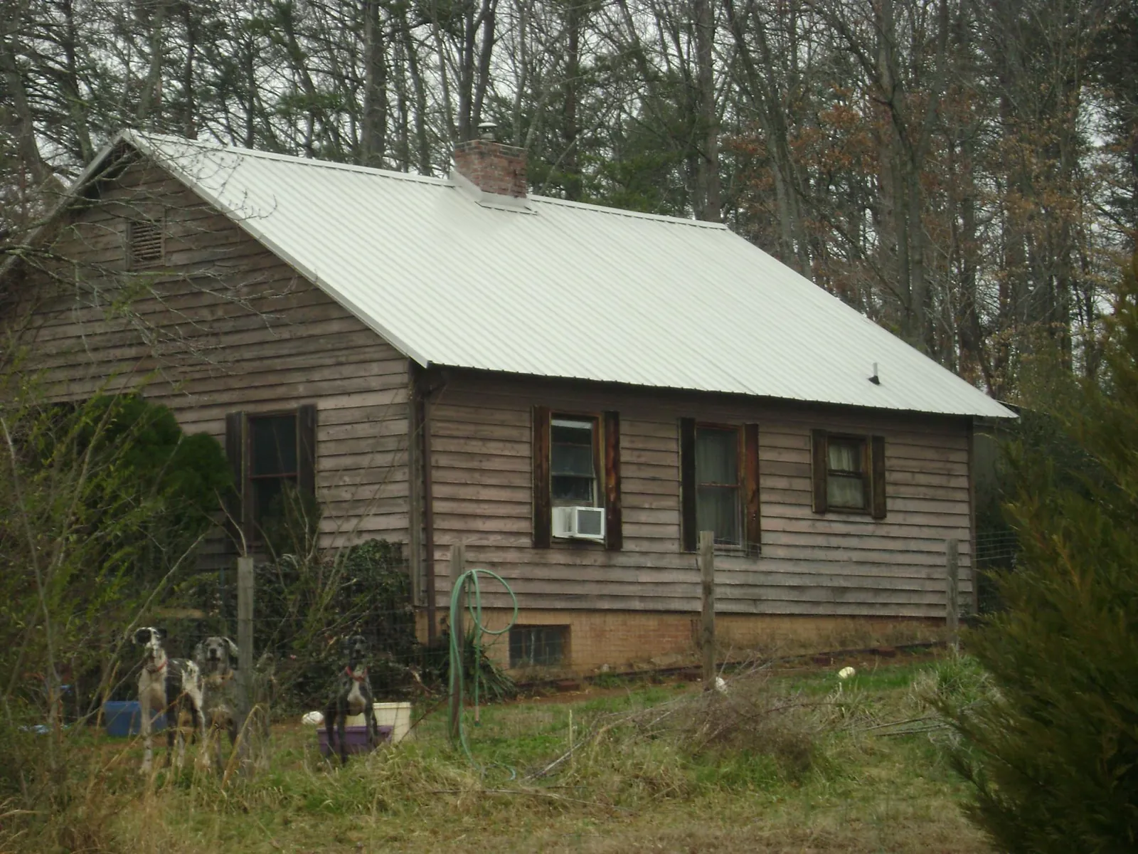 White metal roof on an old wood sided farmhouse, from a Asphalt Shingle Roof Repair job in Peshastin